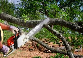 Best Lawn Watering Services  in North Pole, AK